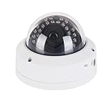 Vanxse Professional CCTV 1/3 CMOS HD 960H 1200TVL 24 IR LEDs IR-Cut Indoor/Outdoor Armour Dome Security Camera Waterproof Surveillance Camera