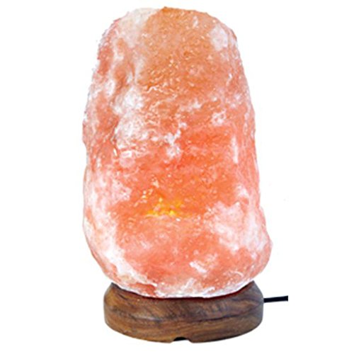 Handcarved Himalayan Pink Salt Natural Lamp 10-11 inches Crystal Rock Air Purifier