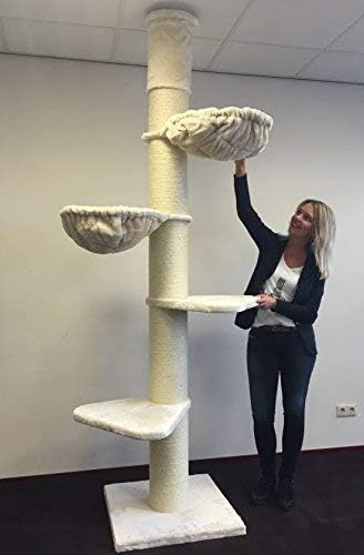 Rhrquality Arbre A Chat Robuste Xxl Maine Coon Tower Beige Grand Arbre A Chat Hauteur De Plafond 255 275 Cm Tronc Epais Amazon Fr Animalerie