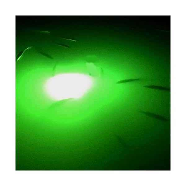 YaeMarine-Boat-Marine-Green-12V-24V-60W-126LED-3780-Lumens-IP68-Lure-Bait-Finder-Night-Fishing-Light-Submersible-Deep-Drop-Underwater-Light-Green-60W