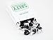 Jacobsen Salt Co. Salty Chewy Black Licorice Snacking Candies with Sea Salt, Delicious & Intriguing Flavor, 6.5 oz