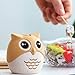 Hyever Cute Owl Design Toothpick Holder Decorative Toothpicks Dispenser Funny for Table, Restaurant, Kitchen and Party