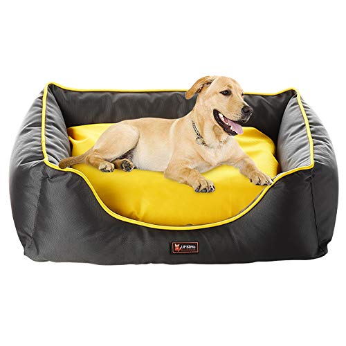 Best vacuum fleas off dog