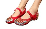 AvaCostume Women's Buddhism Totem Embroidery Casual Mary Jane Shoes