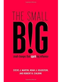 The small BIG: small changes that spark big influence