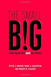 The small BIG: small changes that spark big influence
