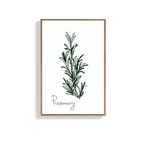 Framed for Living Room Bedroom Rosemary for
