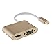 CableCreation Mini DisplayPort to HDMI VGA Adapter, 2 in 1 Mini DP (Thunderbolt 2) Converter Compatible with MacBook Pro, iMac, MacBook Air, Surface Laptop 2 etc, Aluminium Gold