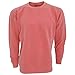 Comfort Colors Adults Unisex Crew Neck Sweatshirt (M) (Brick)