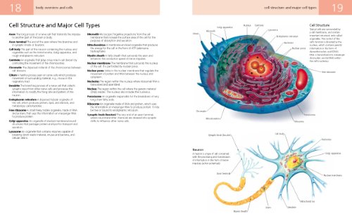 Anatomy Student's Self-Test Visual Dictionary: An All-in-One Anatomy Reference and Study Aid (Barron's Visual Dictionaries) - Thumbnail 2