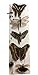Phusis Stainless Steel Insect Pins - Size #4 - Set of 100 - for Entomology, Dissection and Butterfly Collections (#4)…