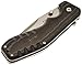 CRKT Razel Folding Pocket Knife, Plain Edge 4030