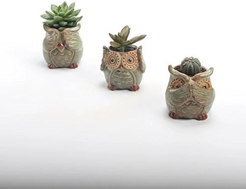 SweetLifeIdea Ceramic Owl Flower Planter Succulent Plant Pot 3pcs Set