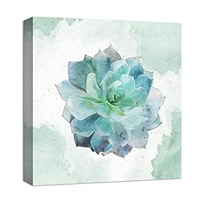 Blue Tint Green Succulent - Canvas Art
