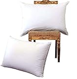 Cosydown Luxury Goose Down Pillow(2-Pack,Queen,Soft) 100% Egyptian Cotton Cover,1200 Thread Count,Bed Pillows for Sleeping,Hypoallergenic