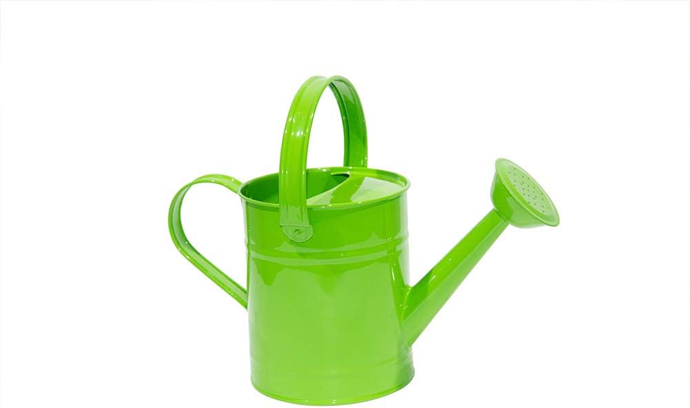 yourjoy Galvanized Metal Wating Can 67 OZ (0.5 Gallon), Watering Pot with Handle and Removable Spout for Outdoor and Indoor Plant Watering : Garden & Outdoor