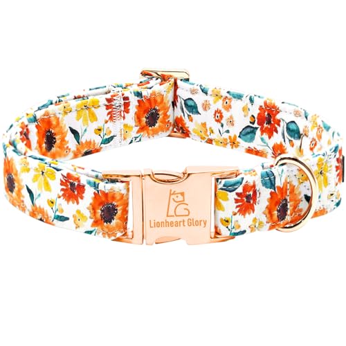 Lionheart Dog Collar Sunflower Print Adjustable