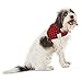 Bond & Co. Buffalo Checkered Dog Bandana, For Neck Sizes 18-21, Large/Extra Large, Large/X-Large