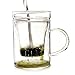 Primula Glass Mug with Loose Tea Infuser, 12-Ounce