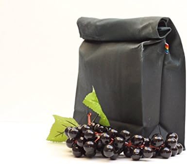 Lunch Bag - Forest Green Waxed Canvas