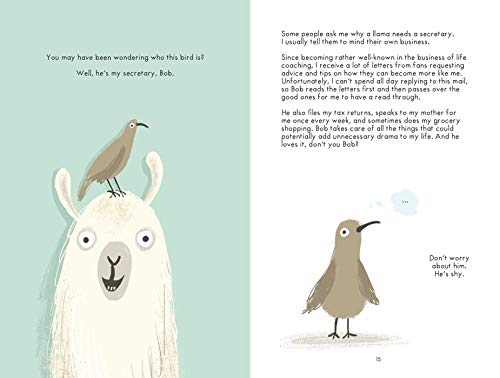 No Drama Llama: Drop the drama and start leading a no-nonsense lifestyle