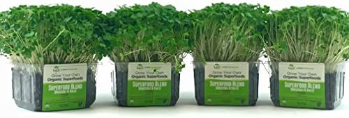 Organic Kale and Broccoli Microgreen Growing Kit - Value 4-Pack, Non-GMO, Nutrient Rich, Ready to eat in 5-7 days