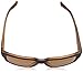 Arnette Supplier AN4213 - 2152/83 Sunglasses, Fuzzy Havana Frame w/ Brown Polarized Lens 58mm