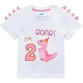 nd Birthday Girl Dinosaur Shirt, Toddler Girls Dinosaur Birthday T-Shirt with Embroidered Number