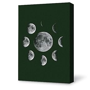 Canvas Wall Art for Living Room,Bedroom Home Artwork Paintings Beautiful Moonlight Ready to Hang - 12x18 inches