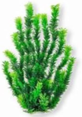 Bushy Plant by AquaTop