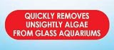 API Hand Held Algae Pad for Glass Aquariums 1-Count Container view 3