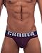 Croota Mens Underwear, Low-Rise Bikini, Brief, Satin Accented Waistband, IS02M Deep Purple