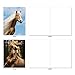 The Best Card Company - 10 Mixed Set Horse Note Cards Blank (4 x 5.12 Inch) - Wildlife, Animal Assorted Boxed Bulk Pack - Horses | Magnificent Manes M4601OCB-B1x10