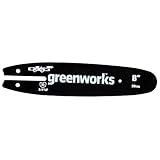Greenworks 8-Inch Replacement Pole Saw Bar 29062