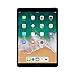 Apple iPad Pro 10.5in (2017) 64GB, Wi-Fi - Space Gray (Renewed)