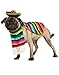 Rubie's Serape and Hat for Pets, Medium