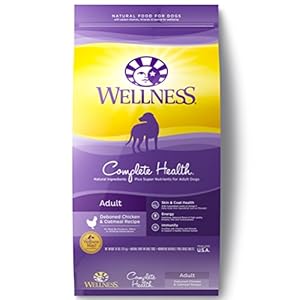 Wellness Complete Health Natural Dry Dog Food, Chicken & Oatmeal, 30-Pound Bag Wellness Complete Health Natural Dry Dog Food, Chicken & Oatmeal, 30-Pound Bag