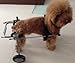 Adjustable Dog Wheelchair ＸＳ Size, Weight 4.4 to 17.6 lbs, Hip Height:7.5
