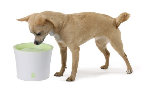 Catit Fresh & Clear Drinkfontein Voor Katten En Kleine Honden, 3 Liter - Afbeelding 3