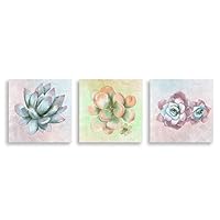 3Piece Canvas Wall Art - Succulent Plant - Canvas Prints Home Artwork Decoration for Living Room,Bedroom - 12
