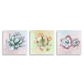 3Piece Canvas Wall Art - Succulent Plant - Canvas Prints Home Artwork Decoration for Living Room,Bedroom - 12"x12"x3 Panels