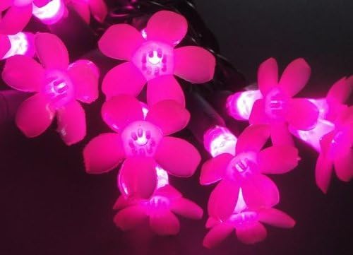 Pink Cherry Blossoms 25-LED Light String