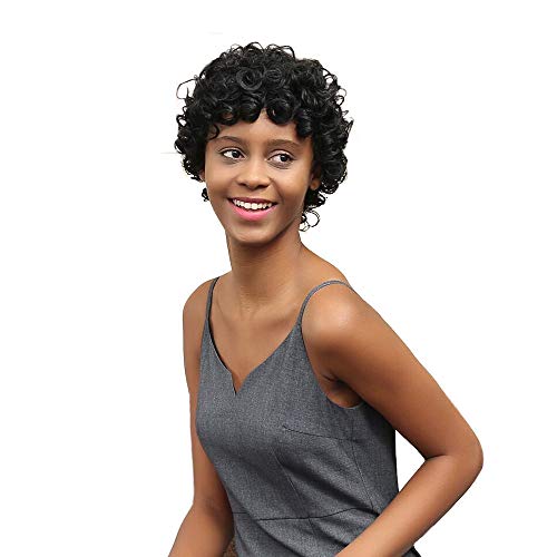 WHAEOSKH Women's Short Black Wig Like FrontCurly Human Hair Wave Fluffy Synthetic Lace Front Wig Wigs