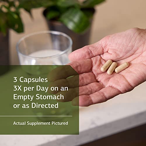 Standard Process GastroFiber Whole Food Digestion and Digestive