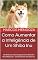 Livro Como Aumentar a Inteligência de Um Shiba Inu: Um Shiba Inu Mais Inteligente é Um Shiba Inu Mais Obediente - Como Adestrar Um Shiba Inu
