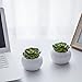 MyGift Set of 2 Small Round White Ceramic Modern Succulent Planter Pots - 3.5 Inch Home Decor