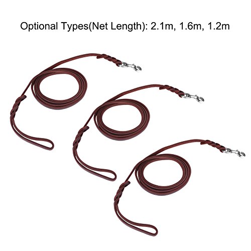 Brown Leather Dog Leash - Leather Leash for Walking Training - Ideal for Walks/Training, Soft and Durable (2.1 m)