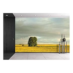 Idyllic Landscape on a Spring Morning in The Southern Polish - Removable Wall Mural | Self-Adhesive Large Wallpaper - 66x96 inches