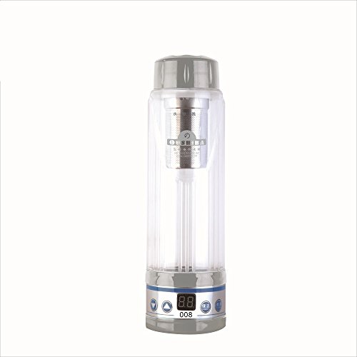 Onezili Car Electric Kettle Boiling 12V-24V Heating Cup Teacup Cofee Cup Milk Bottle For Babies 420ML (Silver)