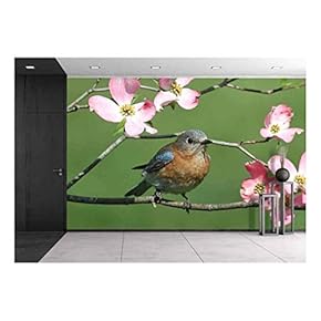 Female Eastern Bluebird (Sialia Sialis) with Pink Dogwood Flowers - Removable Wall Mural | Self-Adhesive Large Wallpaper - 66x96 inches